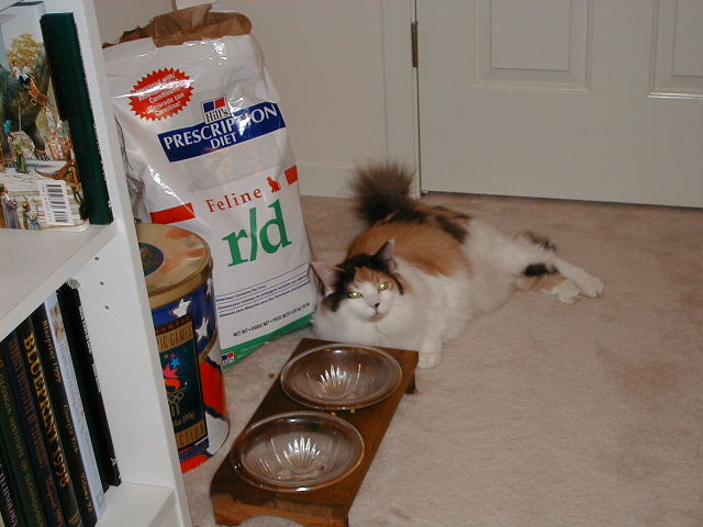 Feed me! Now!