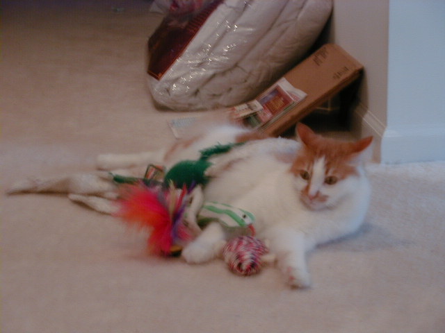 Play with me!