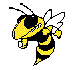 GEORGIA TECH